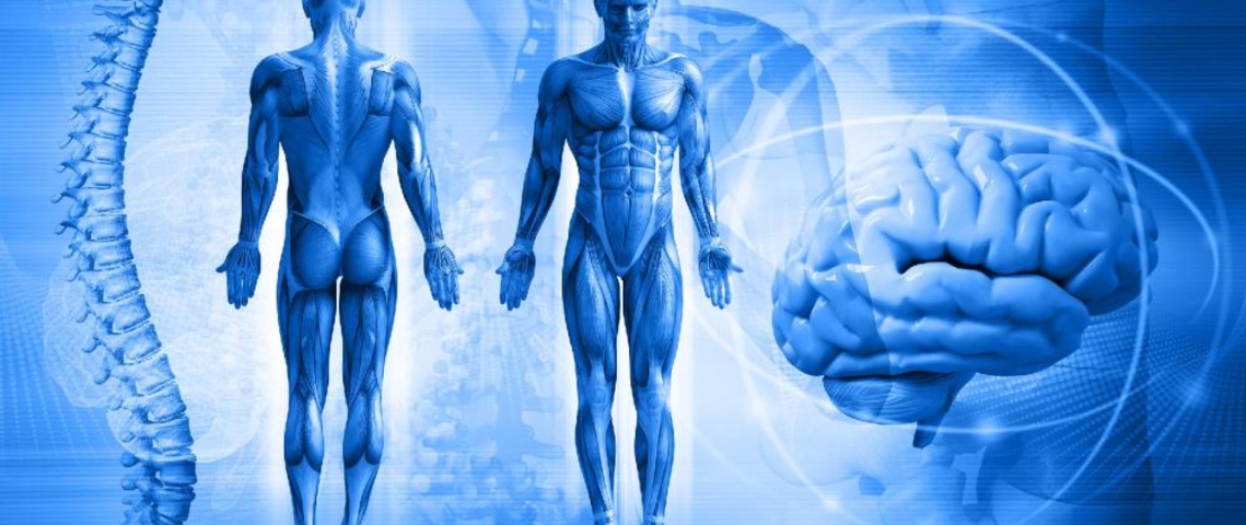 RIABILITAZIONE PRE E POST-INTERVENTO