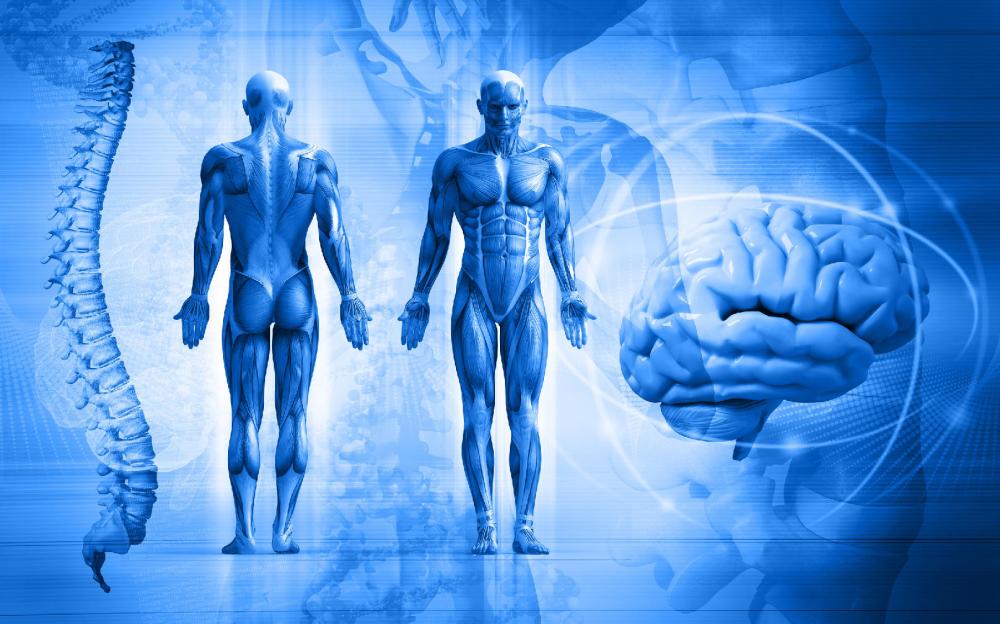 RIABILITAZIONE PRE E POST-INTERVENTO